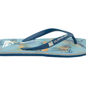 Sandalias Quiksilver Molokai Art 101264 Para Hombre