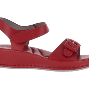 Sandalias Harley Roze 24P554 Para Mujer