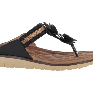 Sandalias Harley Roze 24P566 Para Mujer