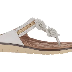 Sandalias Harley Roze 24P566 Para Mujer