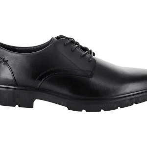Zapatos Flexi 417005 Para Hombre