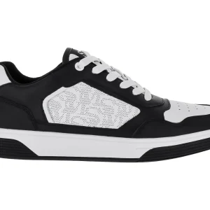 Tenis Steve Madden Marko Para Hombre