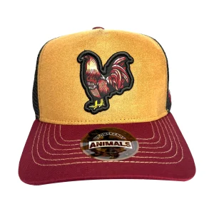 1IRONTRENDY GALLO GIRO PALENQUE